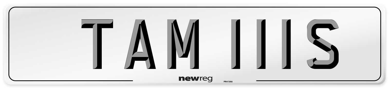TAM 111S Number Plate from New Reg